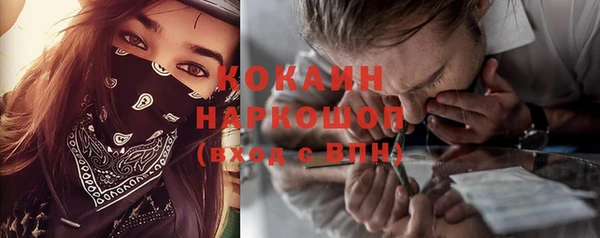 spice Карпинск