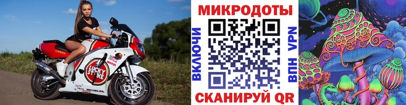 Галлюциногенные грибы MAGIC MUSHROOMS  Купить где  Нефтекумск 